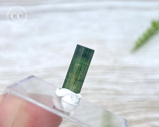 Hollow Green Tourmaline Crystal - Barra do Salinas #5