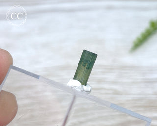 Hollow Green Tourmaline Crystal - Barra do Salinas #1