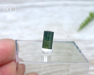 Hollow Green Tourmaline Crystal - Barra do Salinas #6