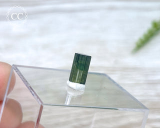 Hollow Green Tourmaline Crystal - Barra do Salinas #6