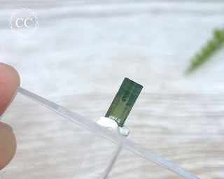 Hollow Green Tourmaline Crystal - Barra do Salinas #1