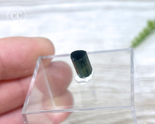 Hollow Green Tourmaline Crystal - Barra do Salinas #6