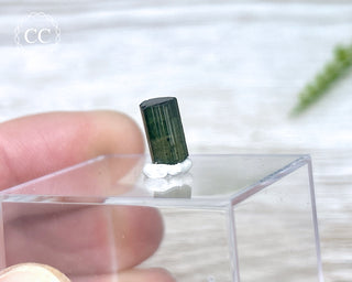 Hollow Green Tourmaline Crystal - Barra do Salinas #6