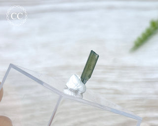 Hollow Green Tourmaline Crystal - Barra do Salinas #7