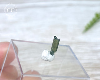 Hollow Green Tourmaline Crystal - Barra do Salinas #7