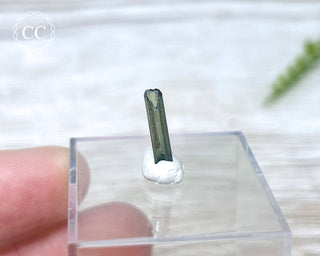 Hollow Green Tourmaline Crystal - Barra do Salinas #7