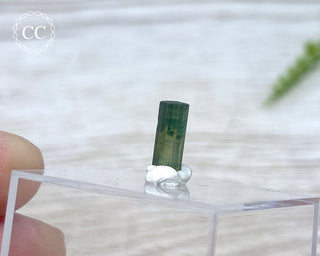 Hollow Green Tourmaline Crystal - Barra do Salinas #1