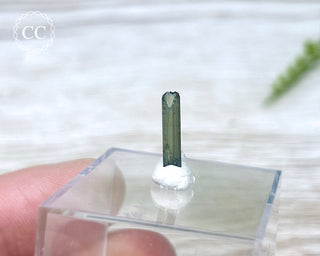 Hollow Green Tourmaline Crystal - Barra do Salinas #7