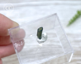 Hollow Green Tourmaline Crystal - Barra do Salinas #7