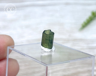 Hollow Green Tourmaline Crystal - Barra do Salinas #8