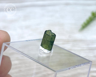 Hollow Green Tourmaline Crystal - Barra do Salinas #8