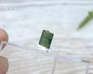 Hollow Green Tourmaline Crystal - Barra do Salinas #8