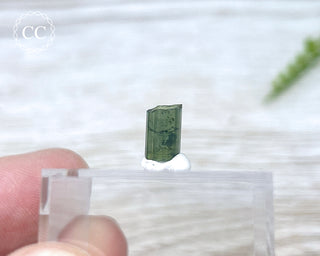 Hollow Green Tourmaline Crystal - Barra do Salinas #8