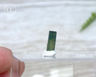 Hollow Green Tourmaline Crystal - Barra do Salinas #1
