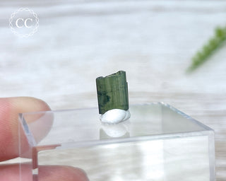 Hollow Green Tourmaline Crystal - Barra do Salinas #8