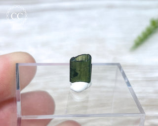 Hollow Green Tourmaline Crystal - Barra do Salinas #8