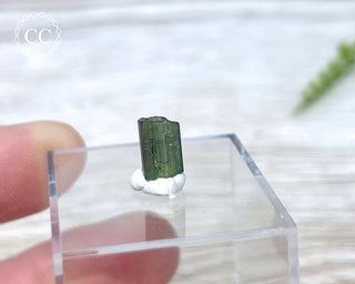 Hollow Green Tourmaline Crystal - Barra do Salinas #8