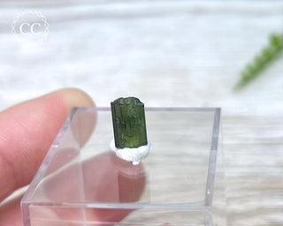 Hollow Green Tourmaline Crystal - Barra do Salinas #8
