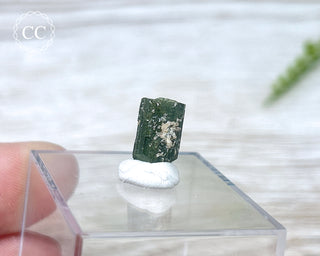 Hollow Green Tourmaline Crystal - Barra do Salinas #9