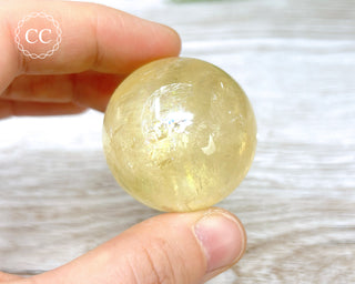 DISCOUNTED Honey Calcite Sphere #6