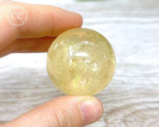 DISCOUNTED Honey Calcite Sphere #6