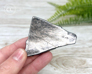 Hypersthene Polished Slice #4