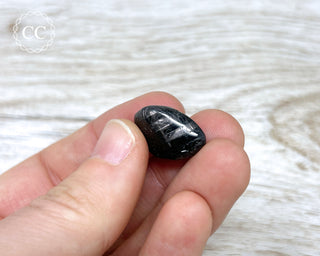 Hypersthene Tumbled Crystal