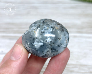 Dendritic Opal | Merlinite Chunky Palm Stone #10