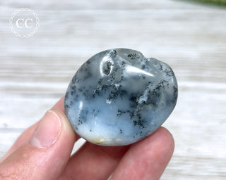 Dendritic Opal | Merlinite Chunky Palm Stone #10