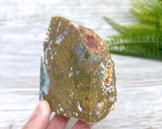 Ocean Jasper Top Polished Slice #1