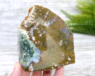 Ocean Jasper Top Polished Slice #1