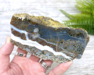 Ocean Jasper Top Polished Slice #2