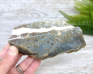 Ocean Jasper Top Polished Slice #2