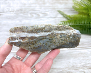 Ocean Jasper Top Polished Slice #2