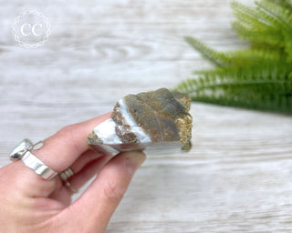 Ocean Jasper Top Polished Slice #2