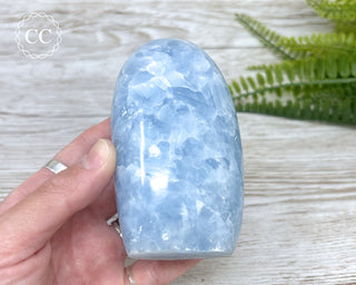 Blue Calcite Freeform #1