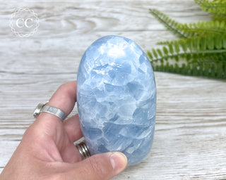 Blue Calcite Freeform #1