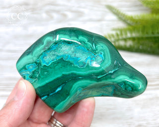 Malachite & Chrysocolla Polished Freeform #8