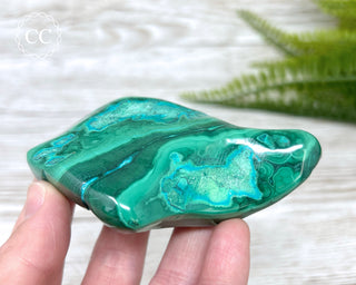 Malachite & Chrysocolla Polished Freeform #8