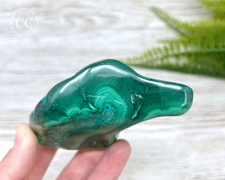 Malachite & Chrysocolla Polished Freeform #8