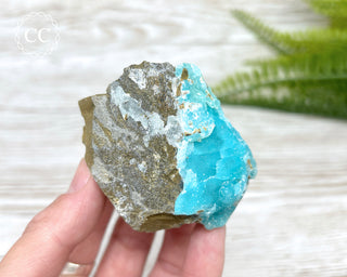 Druzy Blue Hemimorphite - Mfouati Mine #2