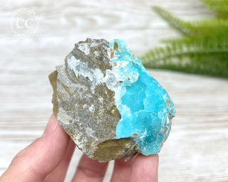 Druzy Blue Hemimorphite - Mfouati Mine #2