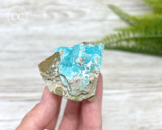 Druzy Blue Hemimorphite - Mfouati Mine #2