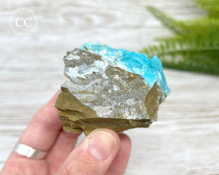 Druzy Blue Hemimorphite - Mfouati Mine #2