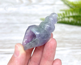 Rainbow Fluorite Shell #1