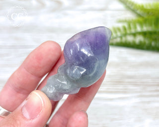 Rainbow Fluorite Shell #1