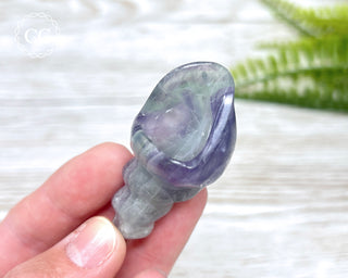 Rainbow Fluorite Shell #1