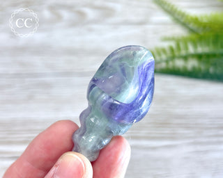 Rainbow Fluorite Shell #1