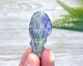 Rainbow Fluorite Shell #1