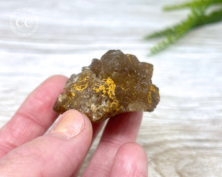 Natural Citrine - Morocco #5